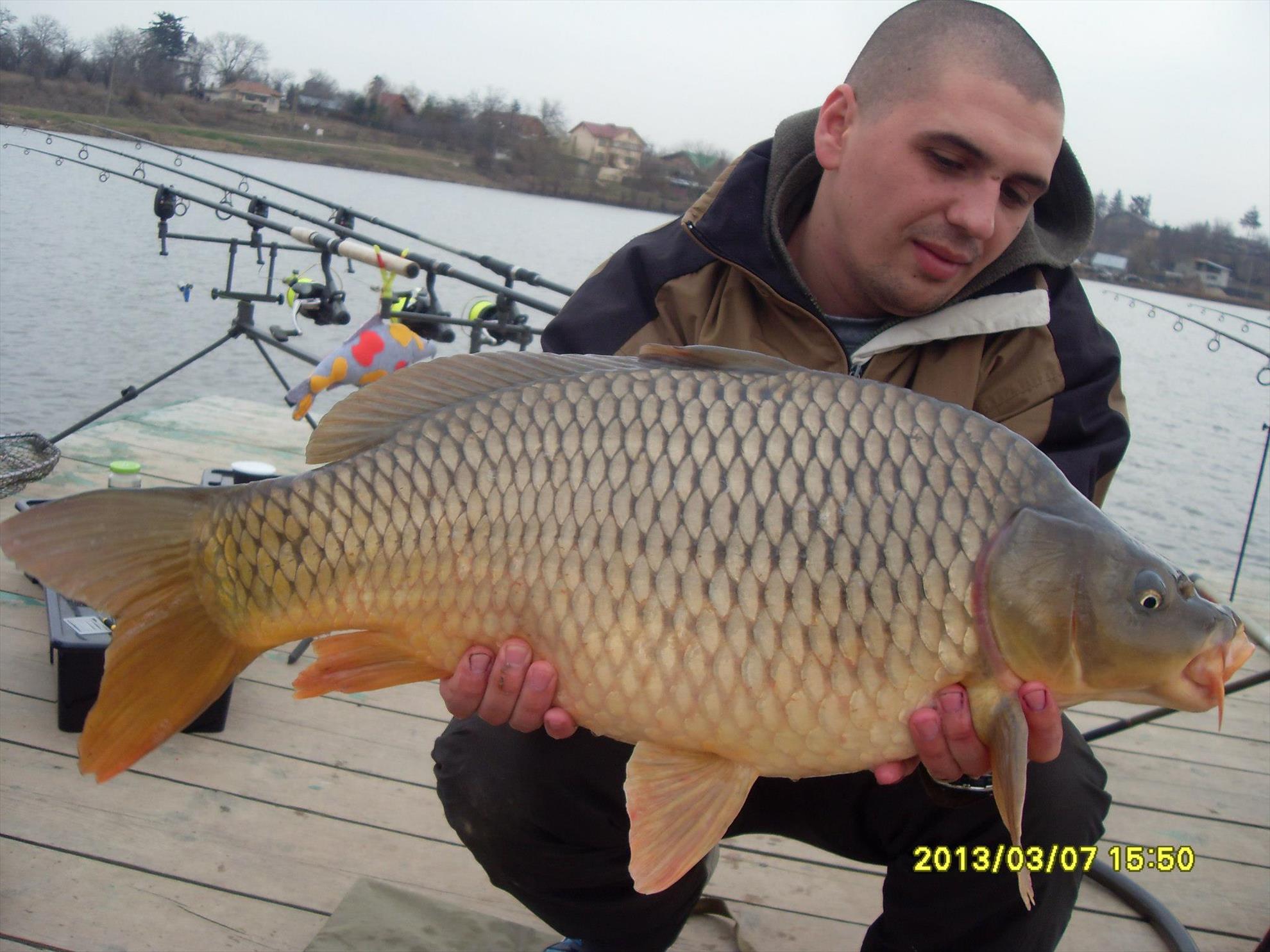 Crapturi - 8614823517950216025551861205418o.jpg